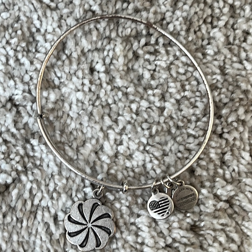 Alex&Ani Eternity Symbol charm bracelet - Picture 3 of 5